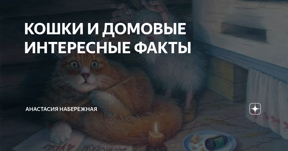 Коты видят домовых. Кошки и домовые интересные факты. Домовой интересные факты.