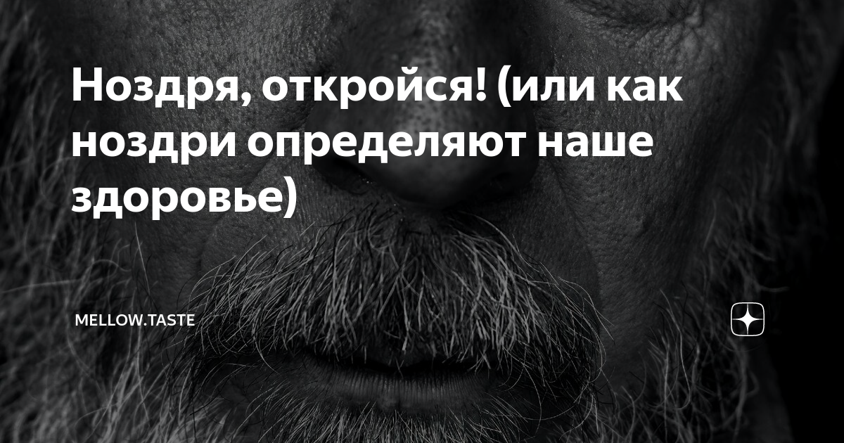 нос, умойся. ноздря откройся. ноздря откройся. юрий алексеевич ноздря. стих кран откройся нос умойся.
