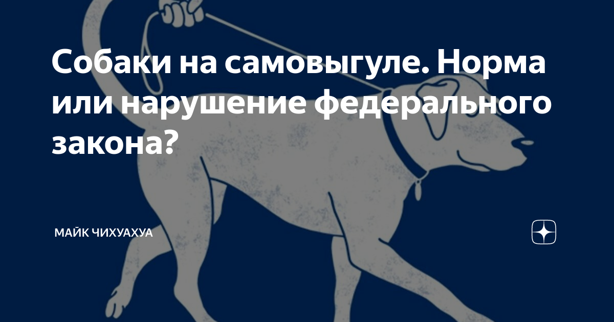 Самовыгул собак. Собака на самовыгуле. Собака на самовыгуле картинка. Ответственность хозяев за самовыгул собак.