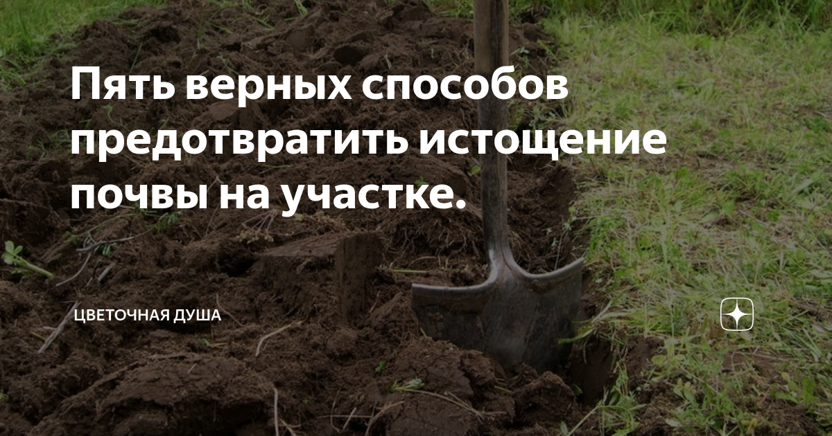 5 верных способов