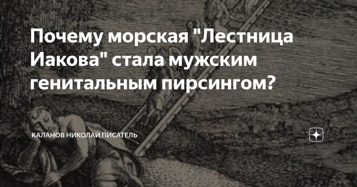 Почему морская "Лестница Иакова" стала мужским генитальным пирсингом? Каланов Ни Поиск картинок