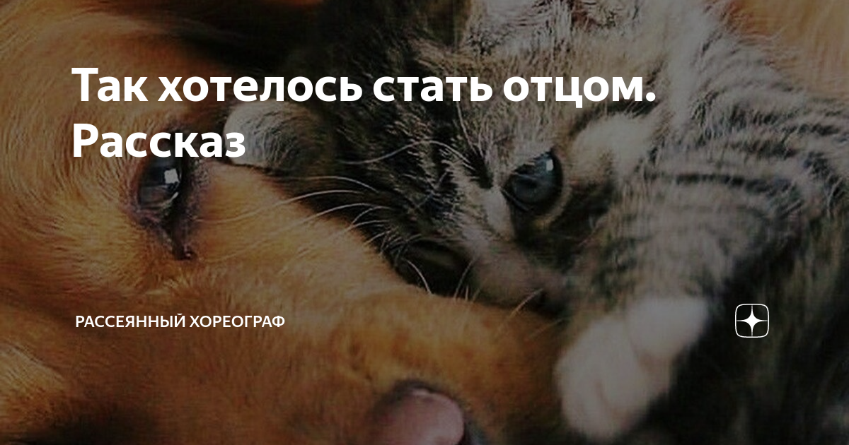 сочинение на тему я хочу стать летчиком