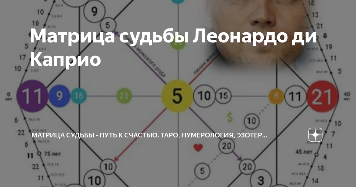 Матрица судьбы. Матрица судьбы Леонардо ди Каприо. Зоны в матрице судьбы. Денежный цвет нумерология.