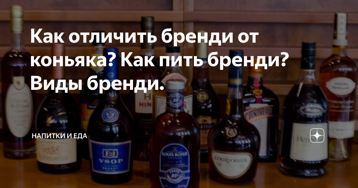 Как отличить бренди от коньяка? Как пить бренди? Виды бренди. | Напитки ...