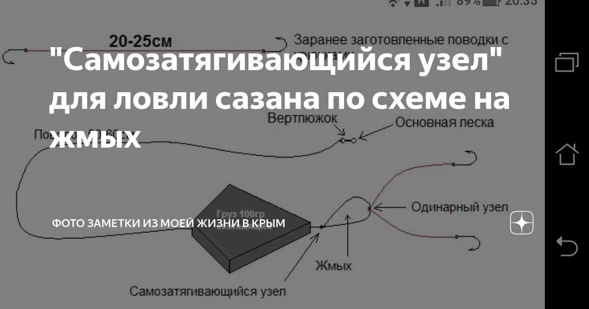 Как приготовить тесто для ловли сазана