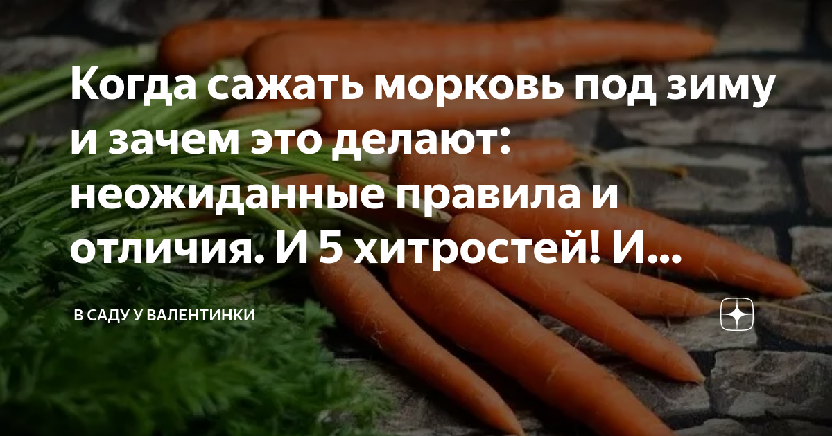 Подкормка моркови в июне. Естественная морковь. Подкормка моркови. Чем удобрить морковь для крупного урожая. Подкормка моркови в августе.