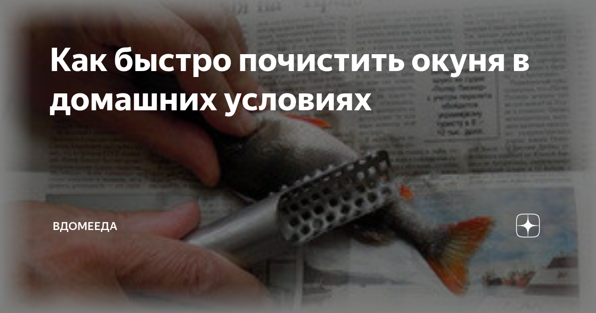 Как быстро и без грязи почистить окуня. Как быстро почистить рыбу Рыба