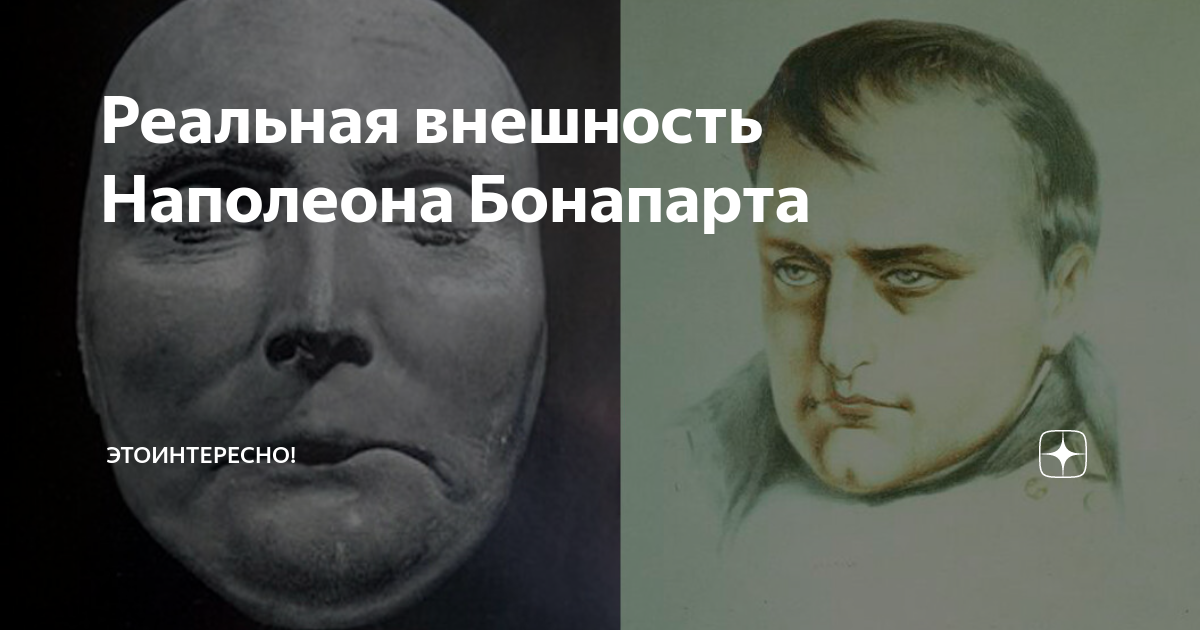 Реальная внешность Наполеона Бонапарта | Это интересно! | Дзен