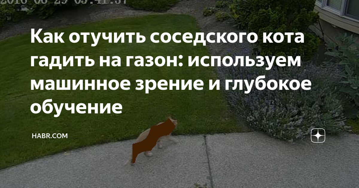 Соседский кот метит. Отучить кота гадить. Как отучить кота гадить. Отучить кошку гадить в неположенном месте. Соседский кот срет на газон.