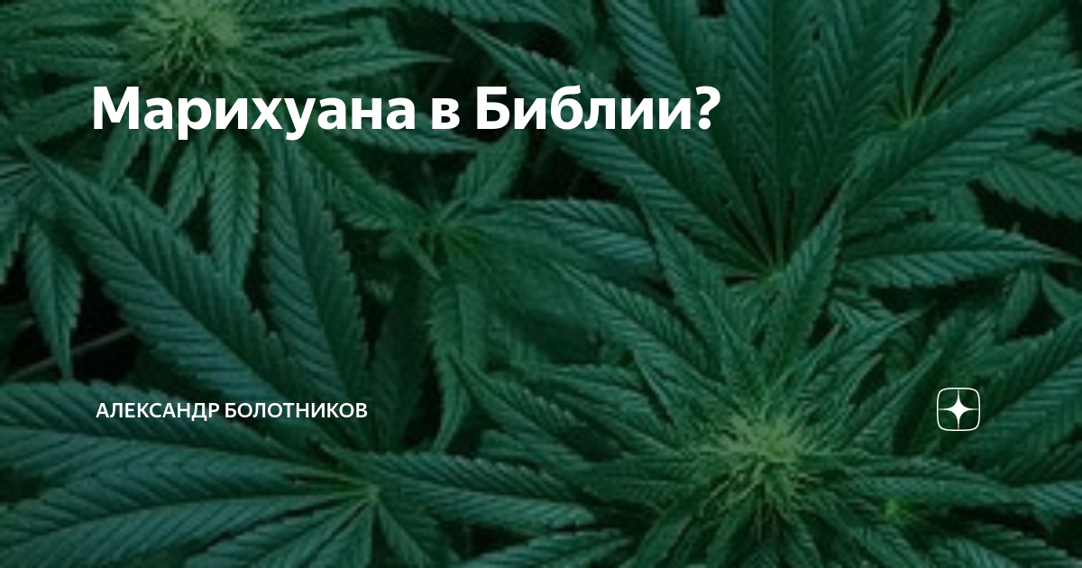 библия и конопля