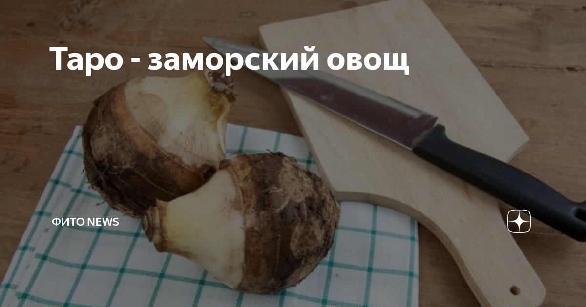 Таро - заморский овощ | Фито News | Дзен