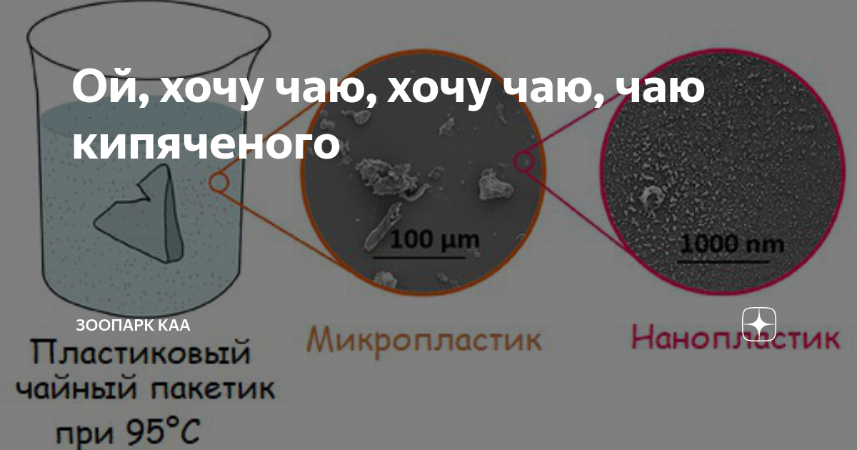 Ой хочу чаю. Хочу чаю аж кончаю картинки.