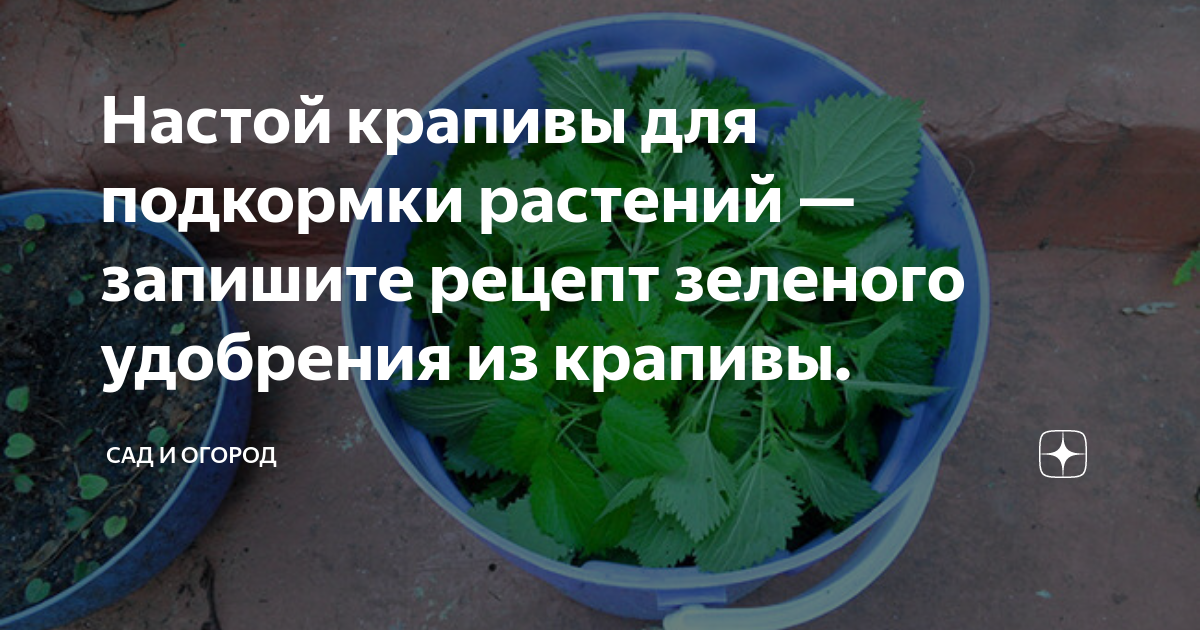 Как сделать травяное удобрение для овощных культур