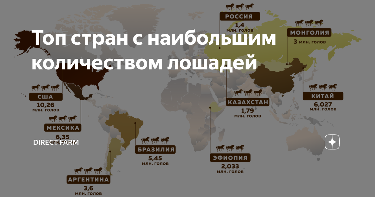 Сколько лошадей. Количество лошадей в России. Коневодство страны Лидеры. Численность лошадей в мире. Численность поголовья лошадей в России.