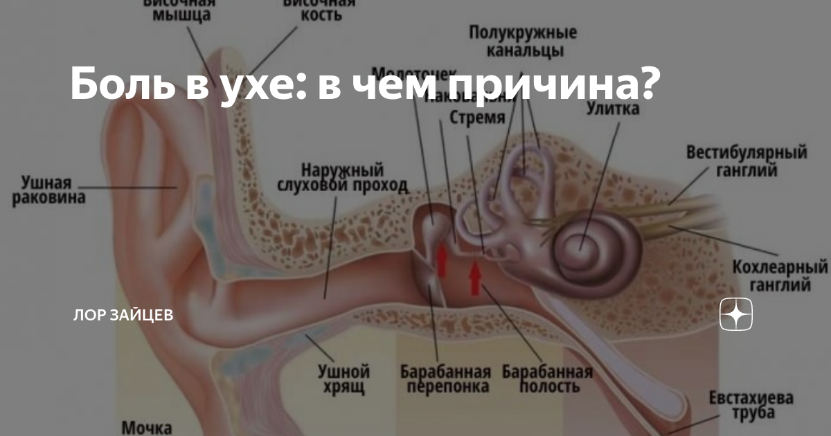 Левая уха плохо слышат. Ноющая боль в ухе причины. Дискомфорт в ухе с одной стороны