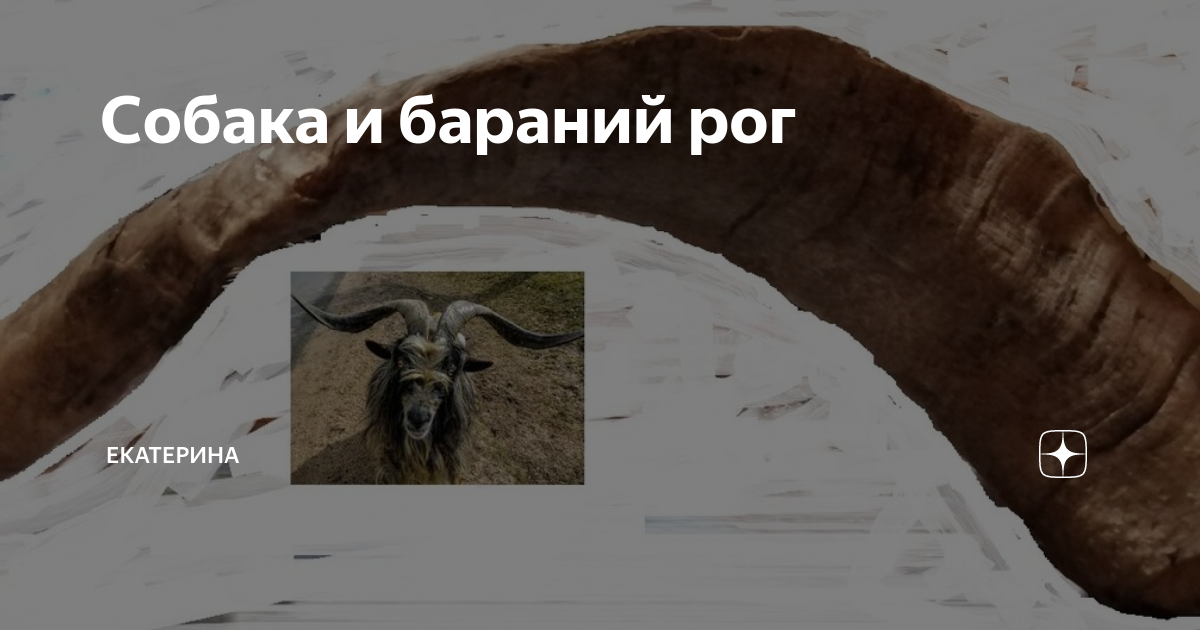 Бараний рог на зиму. Бараньи рога. деревня бараньи рога. скручивание бараний рог.