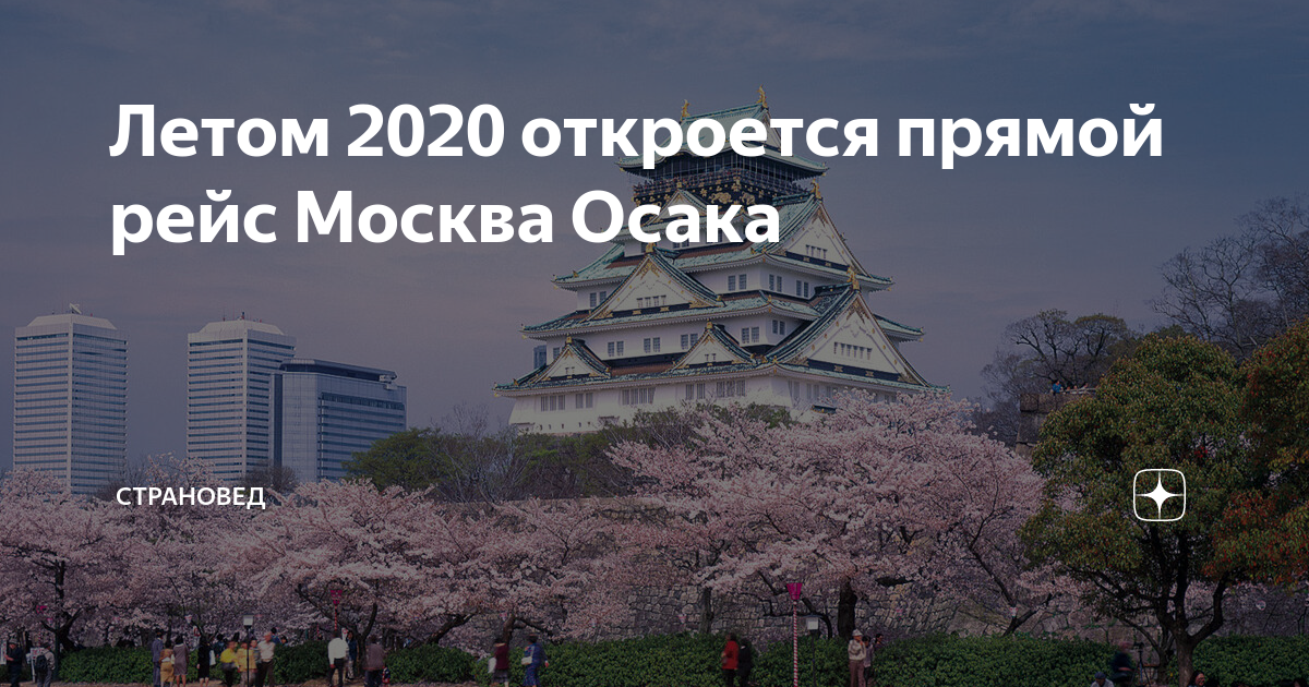 Заказать "Норито" из Осака в Москве через Яндекс Еду