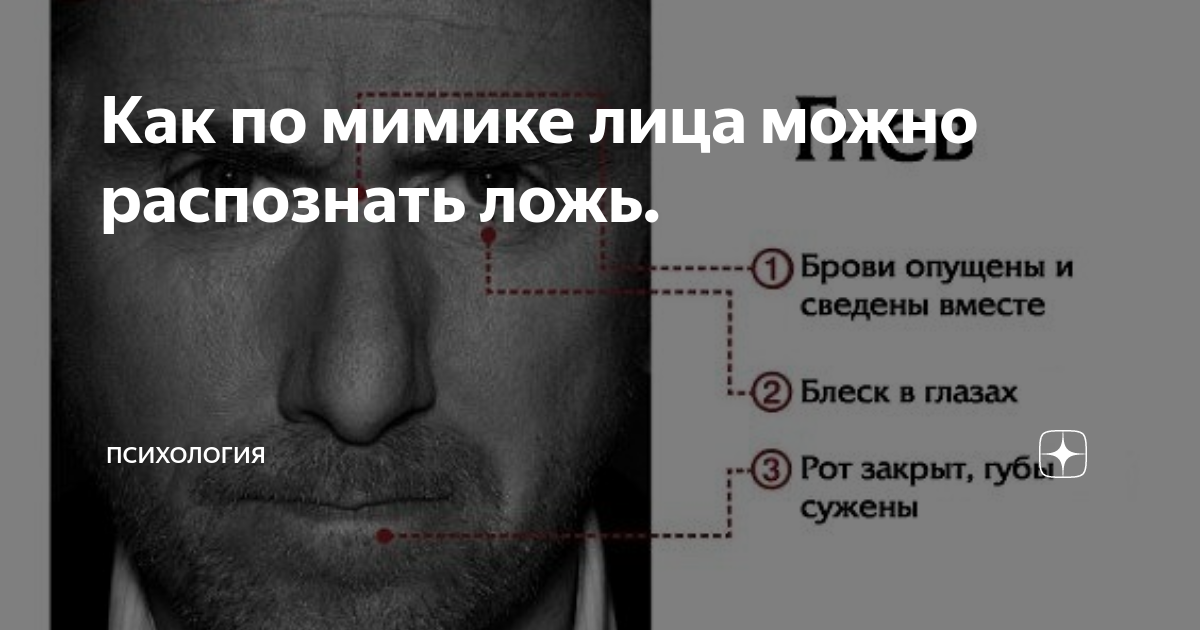 Как распознать ложь проект