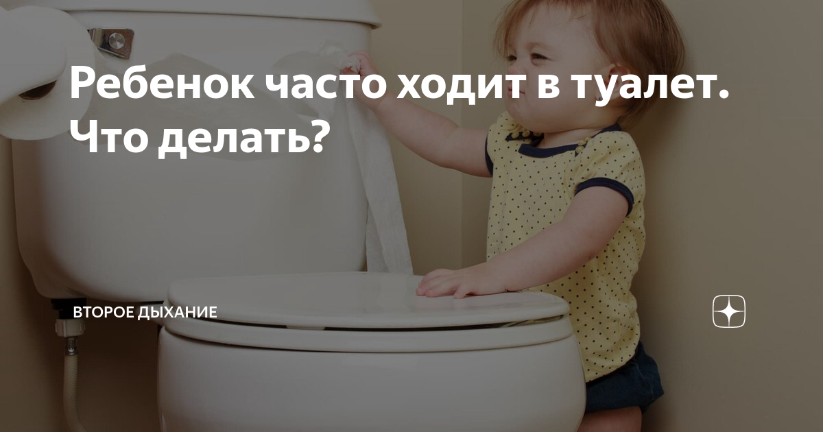 Частое мочеиспускание или почему я так часто писаю?