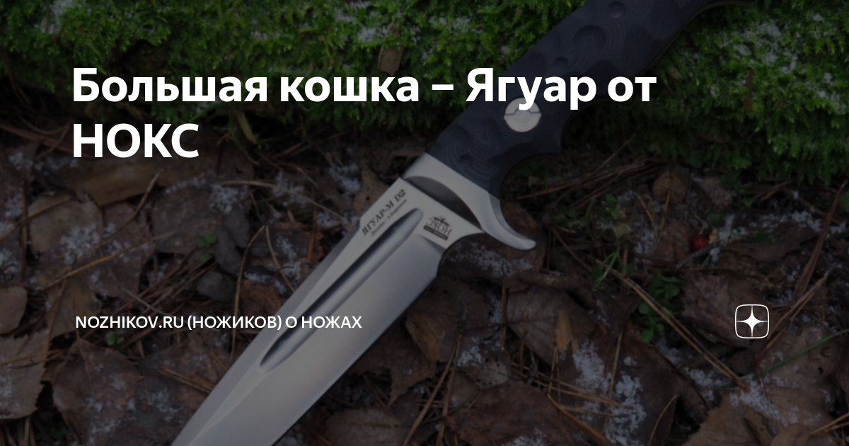 Большая кошка – Ягуар от НОКС | Nozhikov.ru (Ножиков) о ножах | Дзен