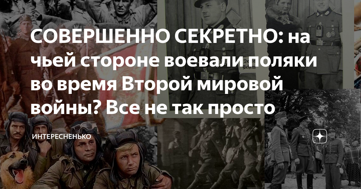 СОВЕРШЕННО СЕКРЕТНО: на чьей стороне воевали поляки во время Второй ...