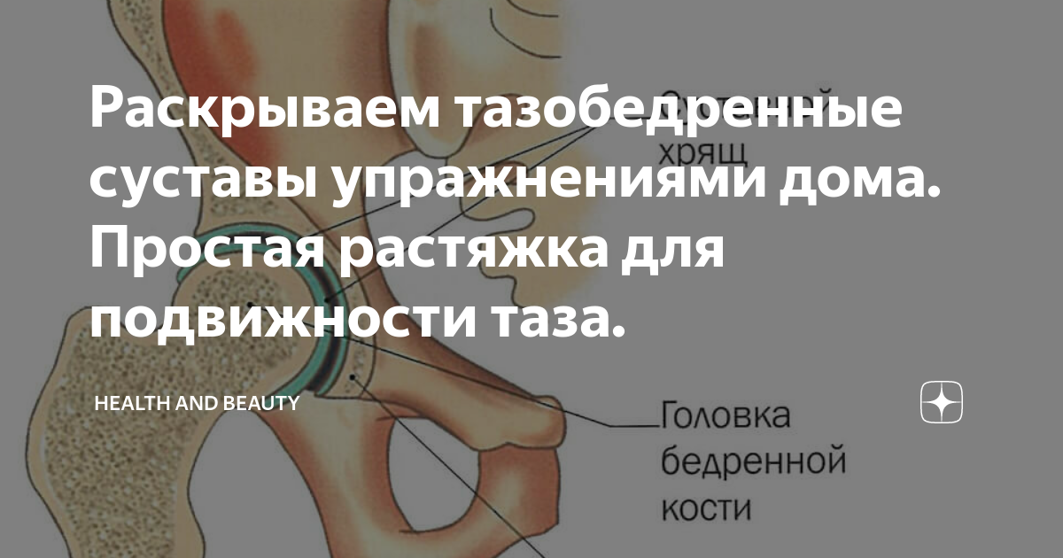 Шипы на тазобедренном суставе. Лучшие материалы - что такое тазобедренный сустав фото Лечение боли в тазобедренном суставе: к какому врачу обратиться, методы. СКЕЛЕТНО-МЫШЕЧНАЯ БОЛЬ В ТАЗОБЕДРЕННОМ СУСТАВЕ У ДЕТЕЙ: ЧТО ДОЛЖЕН.