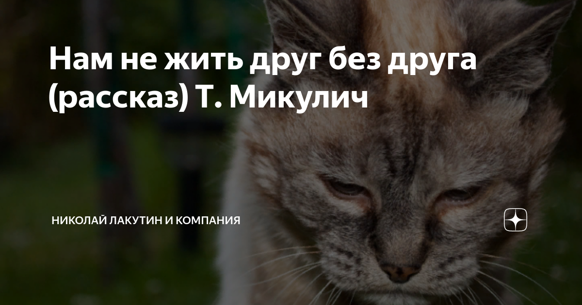 нам не жить друг без друга 4 серия ютуб