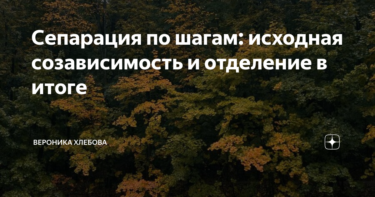 Сепарация по шагам: исходная созависимость и отделение в итоге ...