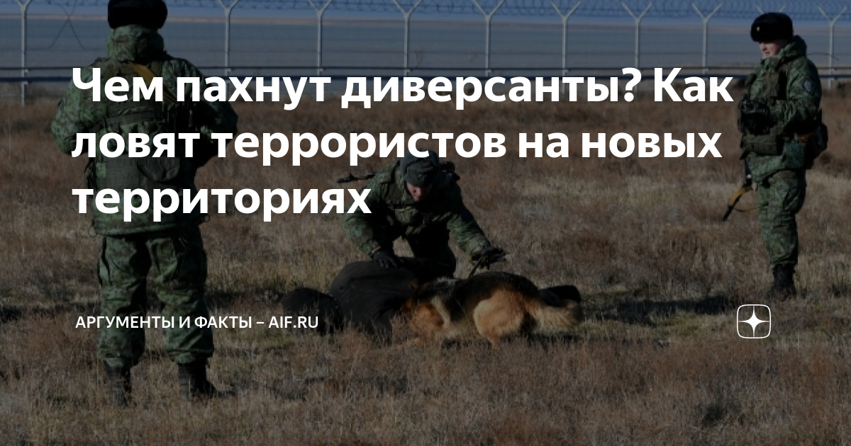 "вербовщик". Не верю что поймали террористов. Содействие диверсиям. Фразы вербовщиков террористов. Террорист ильназ галиев.