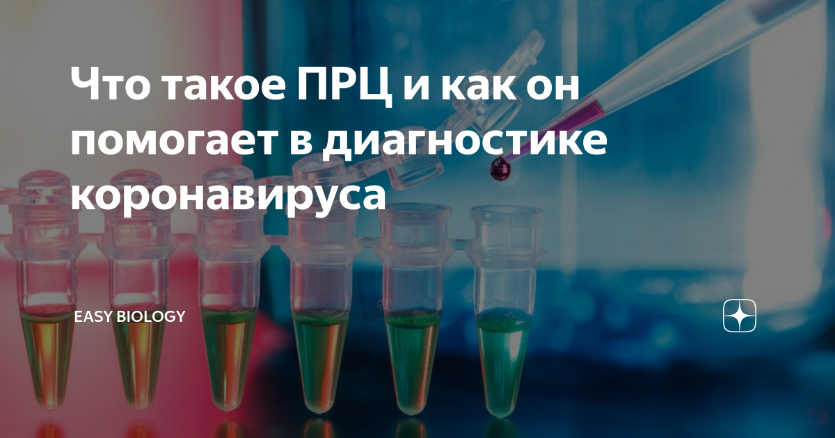 Что такое ПРЦ и как он помогает в диагностике коронавируса | Easy ...