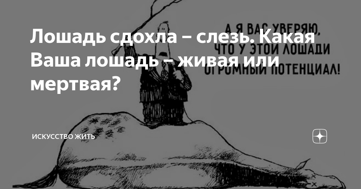 Лошадь сдохла картинки