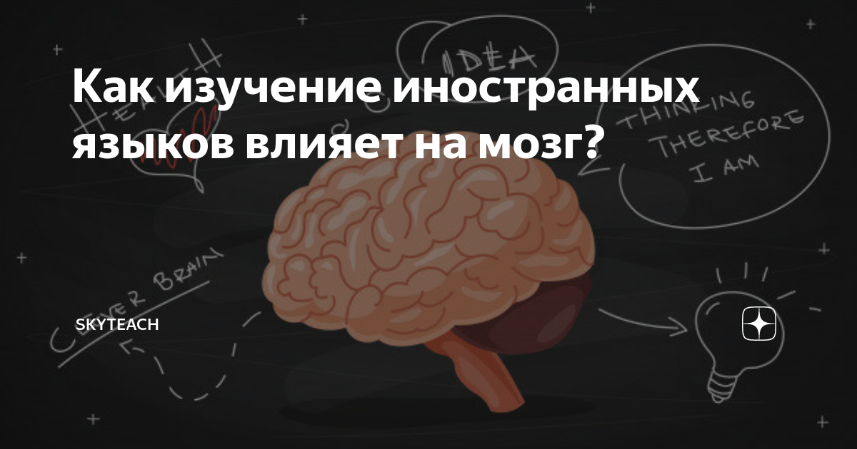 Влияние на изучение языка. Мозг и иностранные языки. Влияние изучения иностранных языков на мозг. Как изучение иностранных языков влияет на мозг. Как изучение языков влияет на мозг.