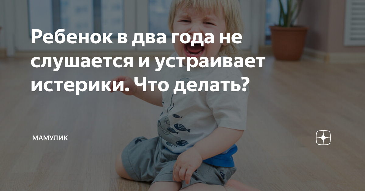 «Ну почему он не слушается?» Советы родителям малыша, катающегося в истерике по полу магазина