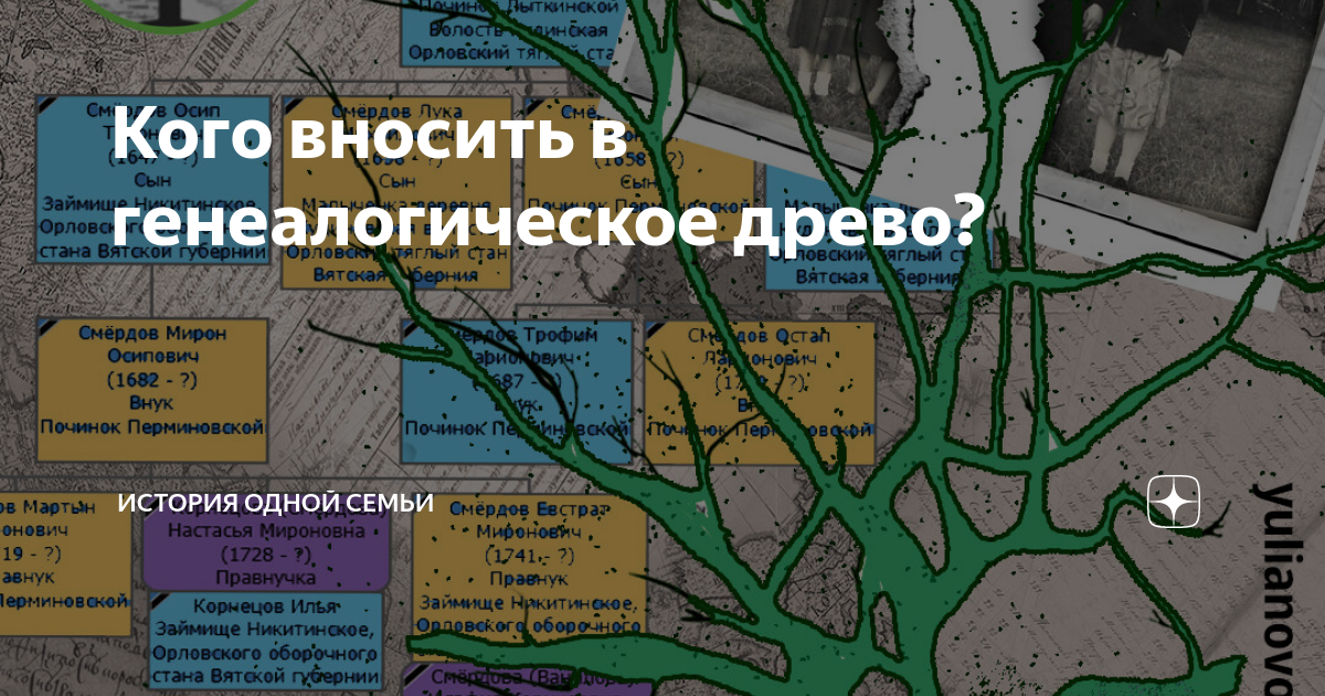 Генеалогическое древо: как составить, сколько стоит, где искать информацию для родословной