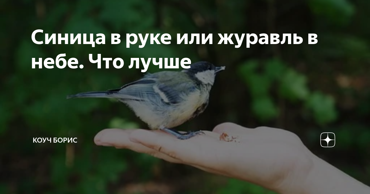Синица в руках значит. Синица в руках. Синица в руках журавль в небе. Лучше синица в руках. Лучше синица в руках чем журавль в небе.