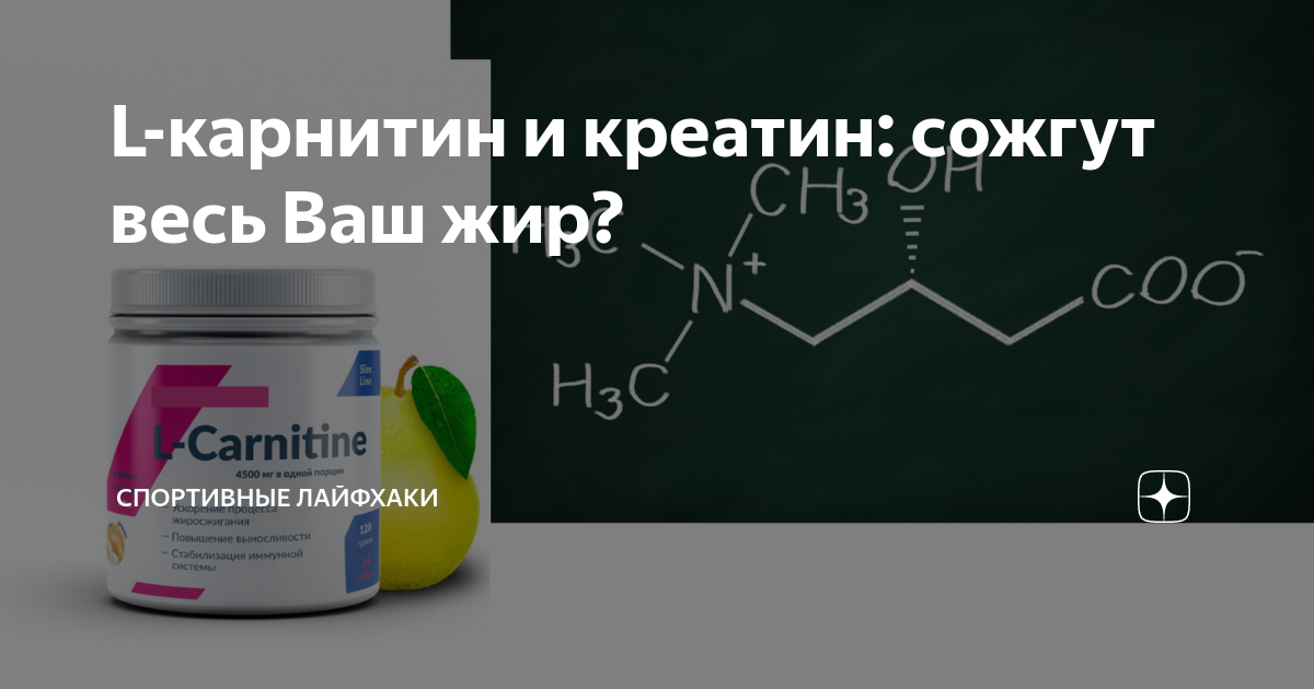 L-карнитин и креатин: сожгут весь Ваш жир? | Спортивные Лайфхаки | Дзен