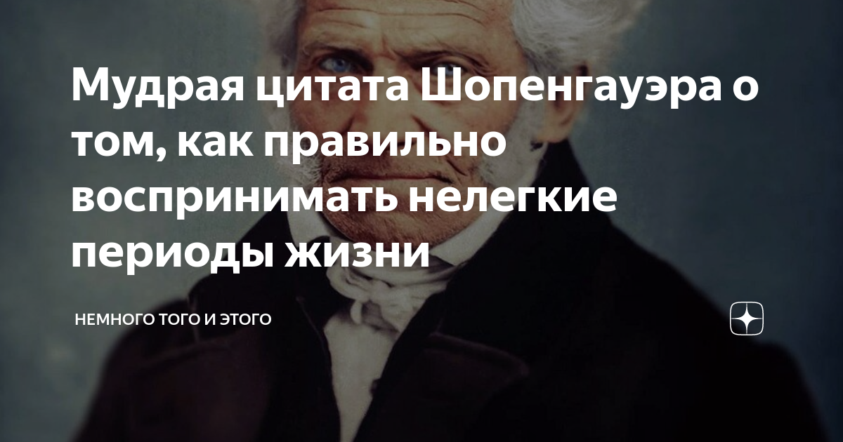 Шопенгауэр о жизни. Высказывания Шопенгауэра. Шопенгауэр цитаты о жизни. Цитаты Шопенгауэра о жизни.