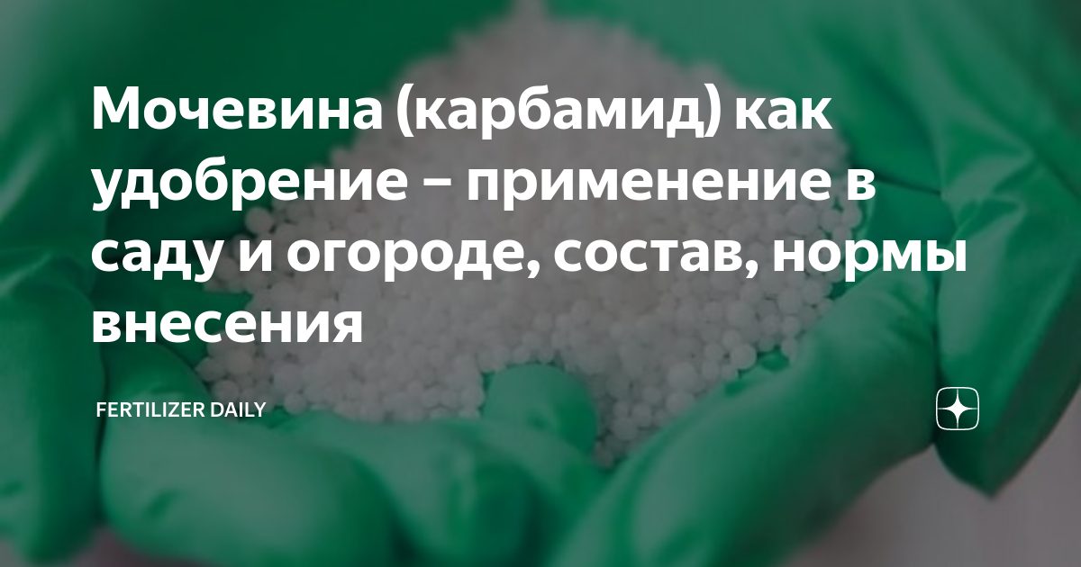 Мочевина удобрение применение в саду и огороде. Чем полезна мочевина в огороде.