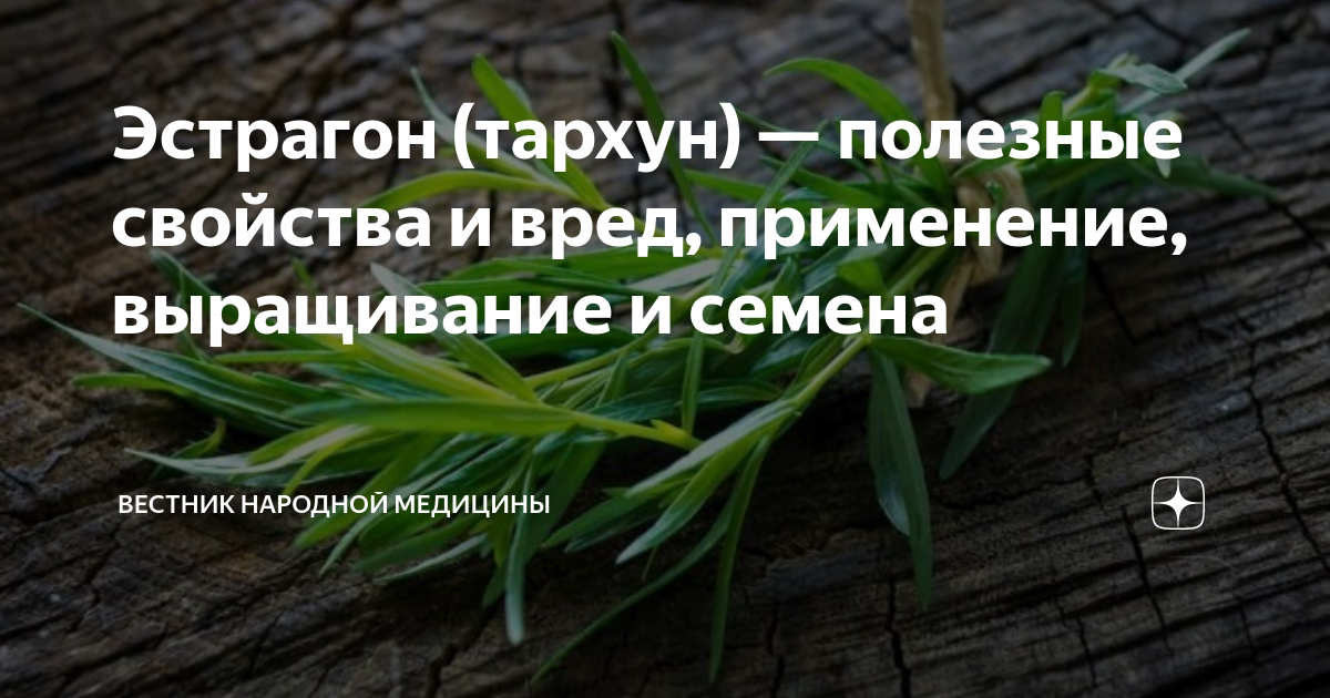 Как сушить зелень и овощи в сушилке в домашних условиях на зиму