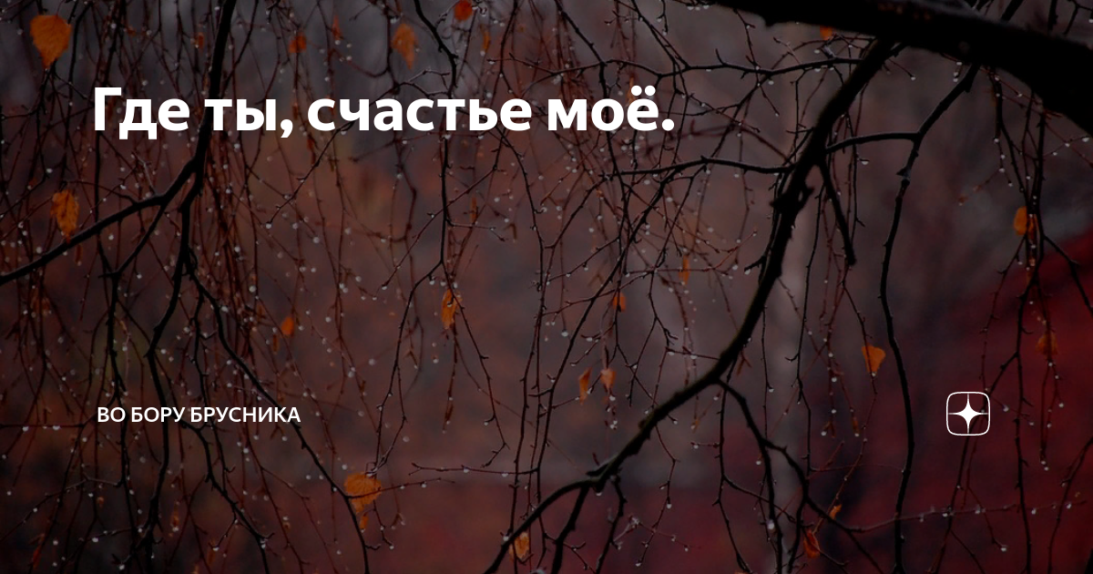 Во бору брусника дзен осколки души 56. Во Бору брусника дзен читать рассказ.