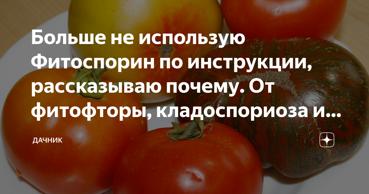 Обработка томатов фитоспорином в открытом. От фитофторы на помидорах препараты. Фитофтора на помидорах чем обработать. Фитоспорин от кладоспориоза. Чем обработать помидоры от фитофторы.