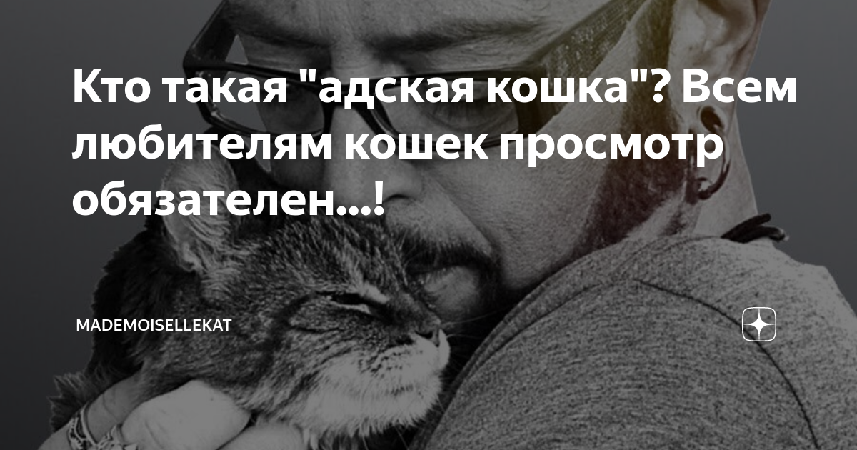 Кто такая "адская кошка"? Всем любителям кошек просмотр обязателен ...