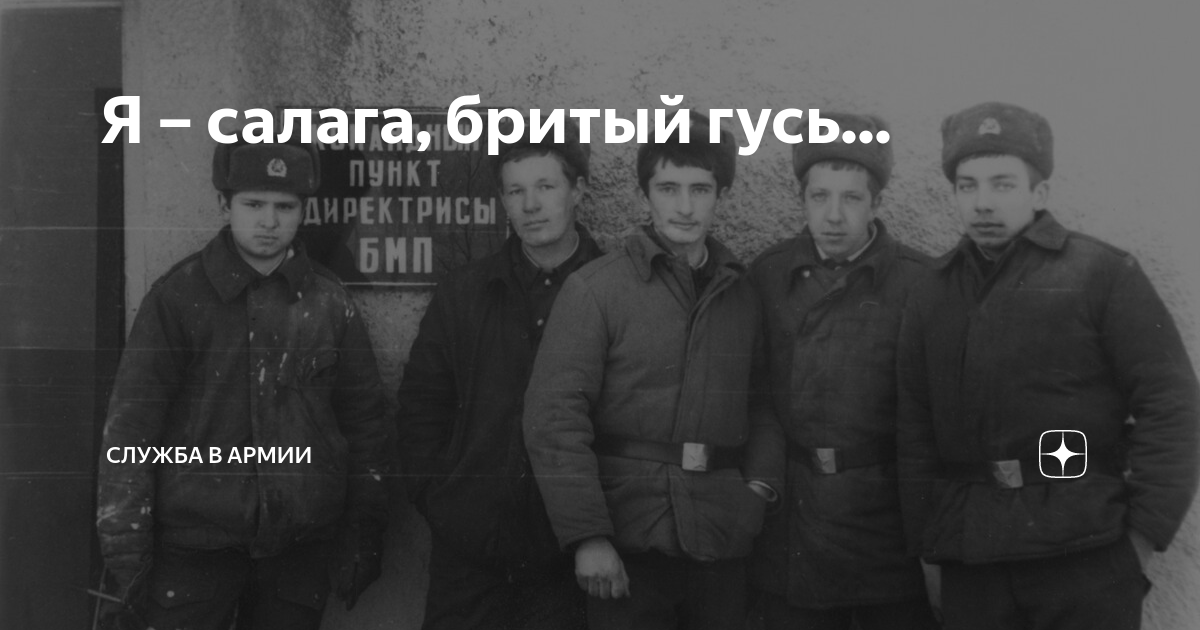 Я – салага, бритый гусь... | Армия и Флот | Дзен