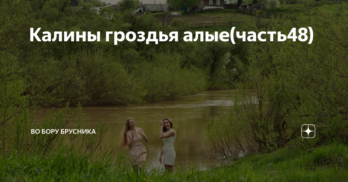 Калины гроздья алые рассказ