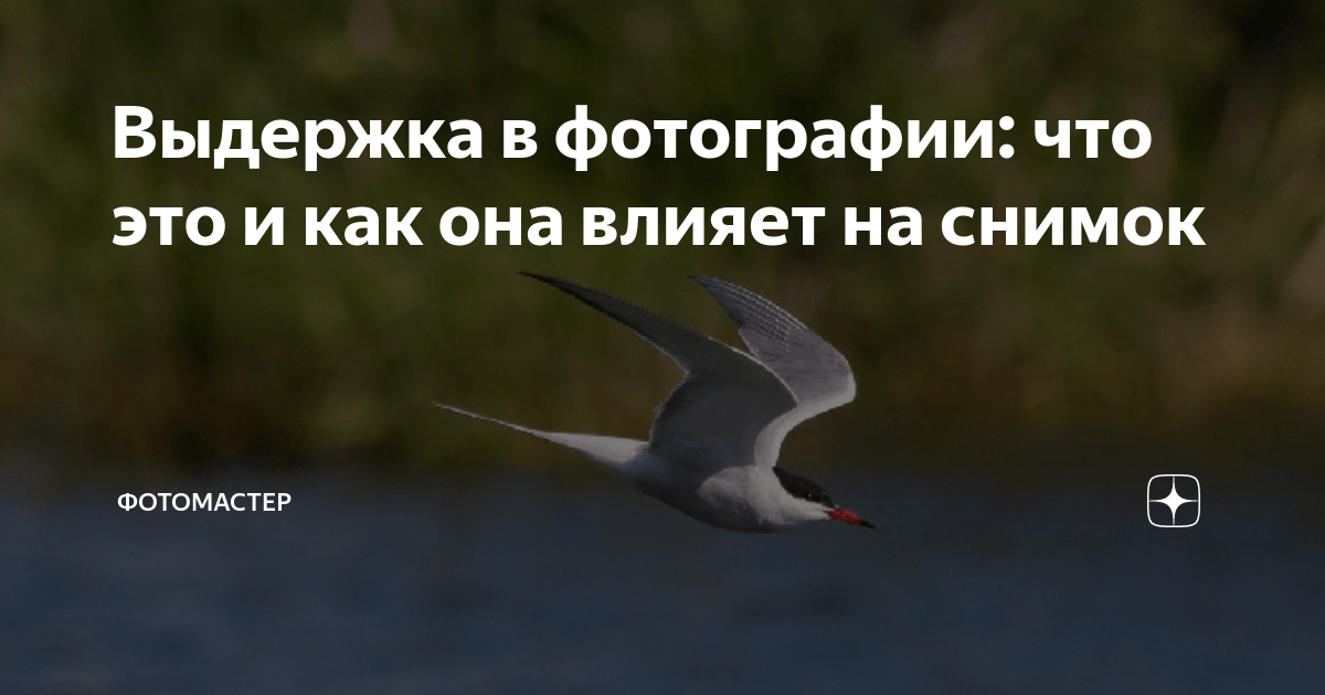 Выдержка в фотографии: что это и как она влияет на снимок | ФотоМАСТЕР ...