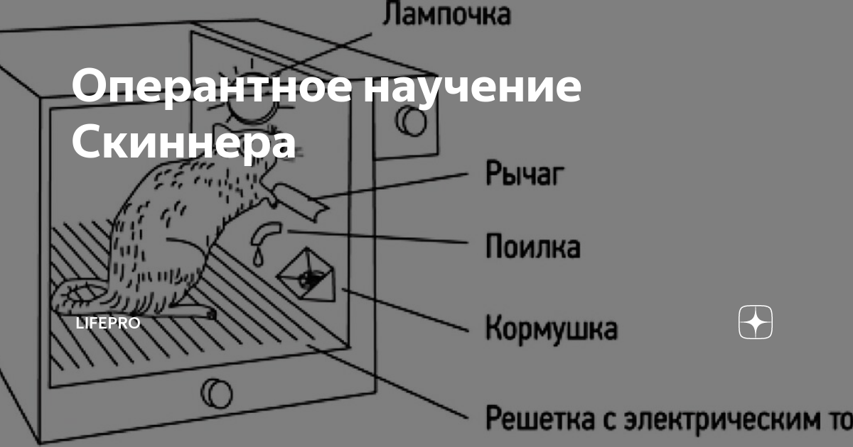 Скиннер оперантное поведение