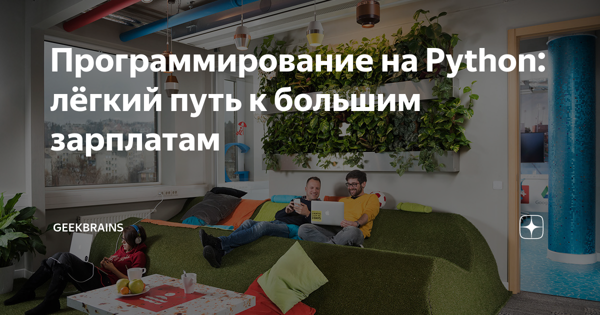 Программирование на Python: лёгкий путь к большим зарплатам ...