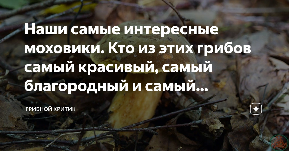 Самый странный форд