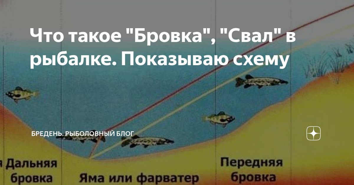Что такое бровка в рыбалке. Строение дна реки. Место ловли на фидер. Бровка долины. Бровка поймы.