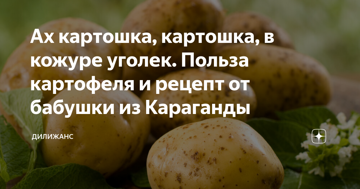 Эх картошка картошка в кожуре Уголек. Чем полезен картофель.